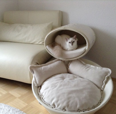 Katzenbett MILA Kunstleder