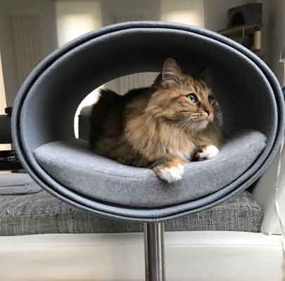 Kratzbaum RONDO Stand Filz