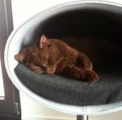 Kratzbaum RONDO Stand Filz