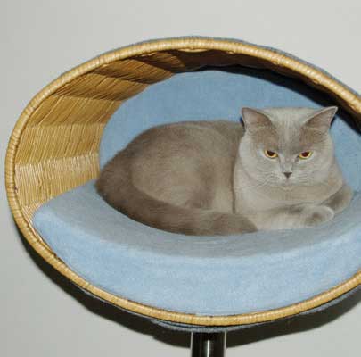 Design Kratzbaum RONDO Stand Rattan