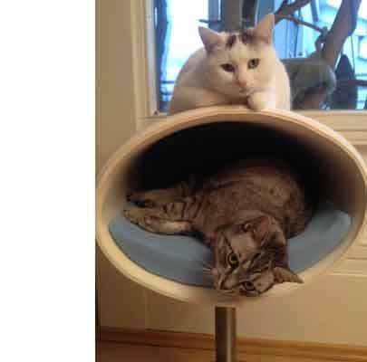 Kratzbaum RONDO Stand Filz