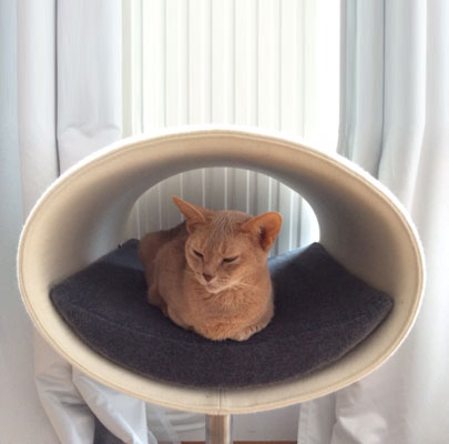 Kratzbaum RONDO Stand Filz