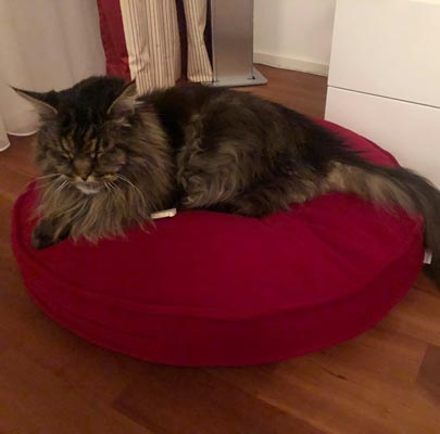 Hochwertiges Katzenkissen Lounge UNI
