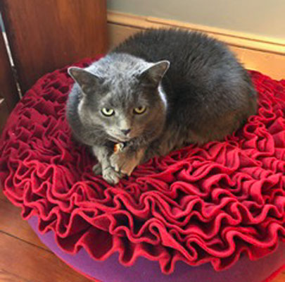 Orthopädisches Hundekissen Divan UNO