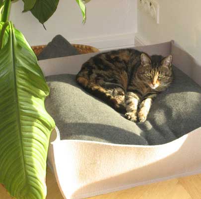 Katzenkörbe BOWL Filz