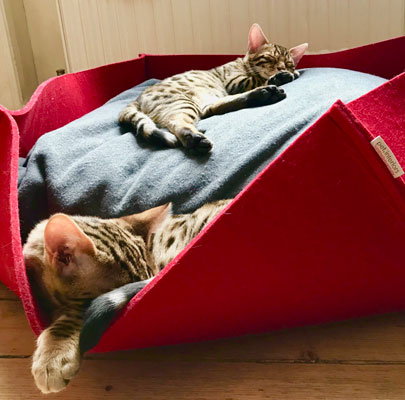 Katzenkörbe BOWL Filz