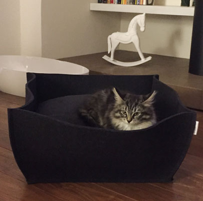 Katzenkörbe BOWL Filz