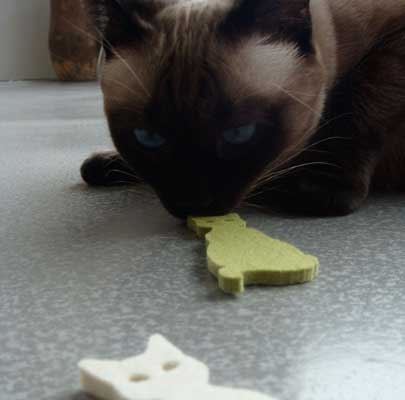 KATZENSPIELZEUG aus Filz