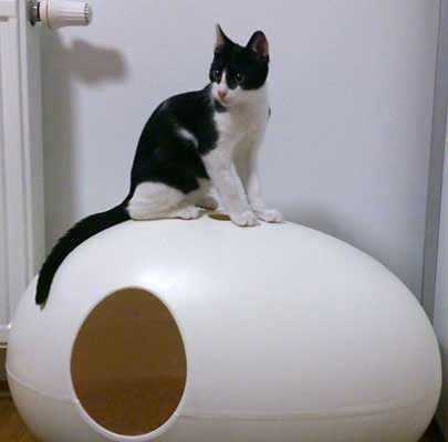 Design Katzentoilette POOPOOPEEDO