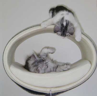 Kratzbaum RONDO Stand Filz