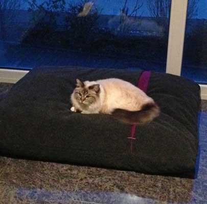 Schlafsack für Katzen Divan DUE