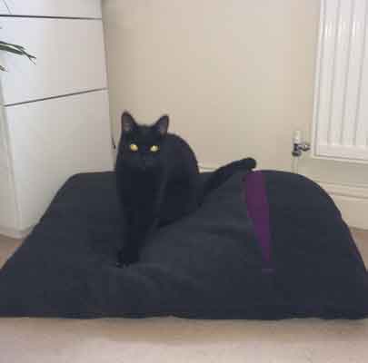 Schlafsack für Katzen Divan DUE