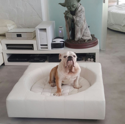 Design Hundebett CUBE Leder