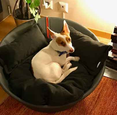 Mila Hundebett Kunstleder hoher Rand