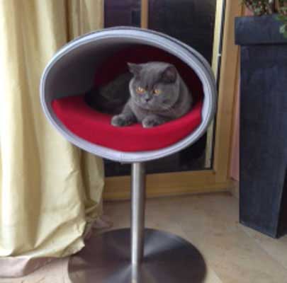 Kratzbaum RONDO Stand Filz