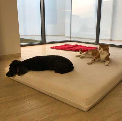 Viskoelastische, dicke Hundematte MARY