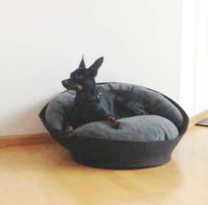 Kleiner Hundekorb ARENA Filz