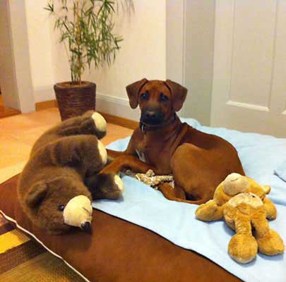 Juma from St. Gallen, Switzerland