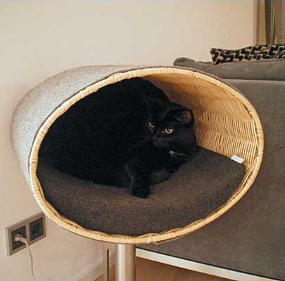 Katzenbett Wandmontage RONDO Wall Rattan