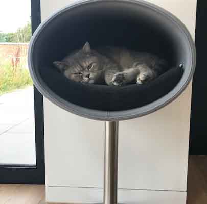 Kratzbaum RONDO Stand Filz