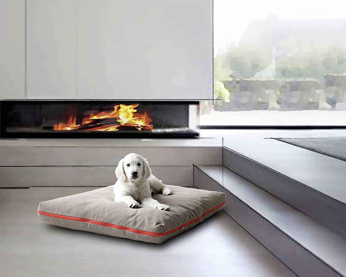 Hund auf Hundekissen von pet-interiors vor Feuerstelle in puristischem Ambiente