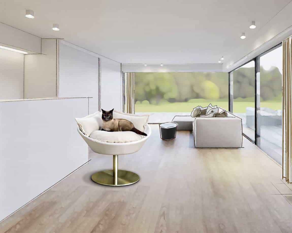 Siam-Katze im pet-interiors Katzenkorb, moderner Wohnraum