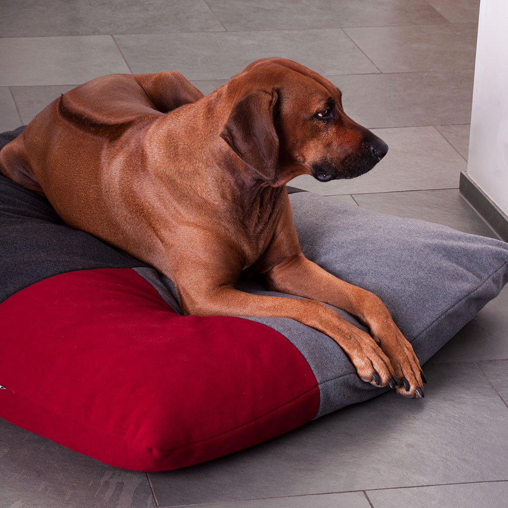 cheap dog bed cushions