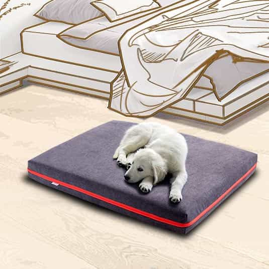 DOG MATTRESS