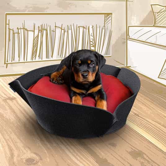 NOOK Felt stylish dog beds