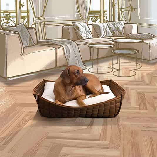 BOWL Leather dog bed