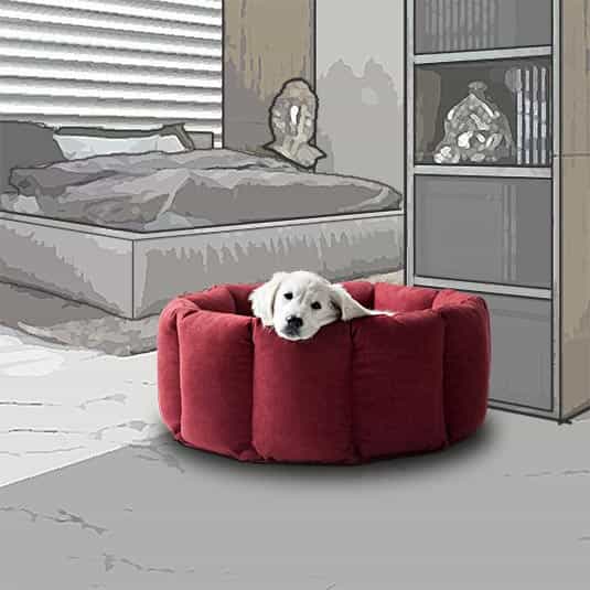 BLOOM dog bed