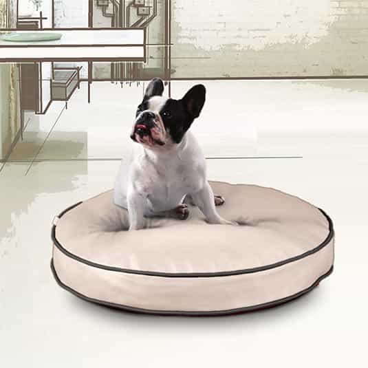 LOUNGE Eddy dog cushion in faux leather