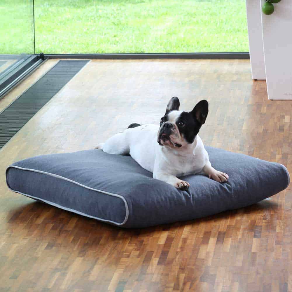 dog cushion