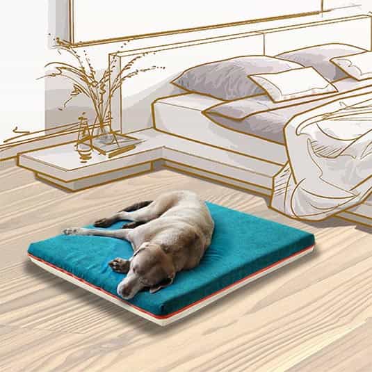 Memory foam orthopedic dog mat PAUL, incl. dog blanket