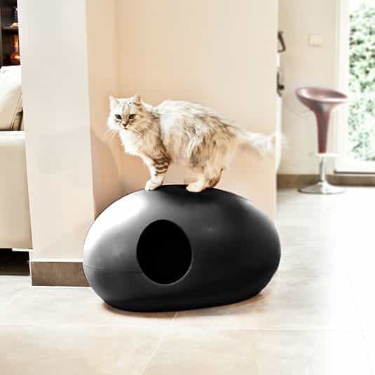 Design Katzentoilette POOPOOPEEDO