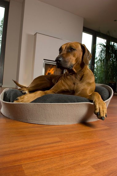 Dog pet bed Arena Felt 