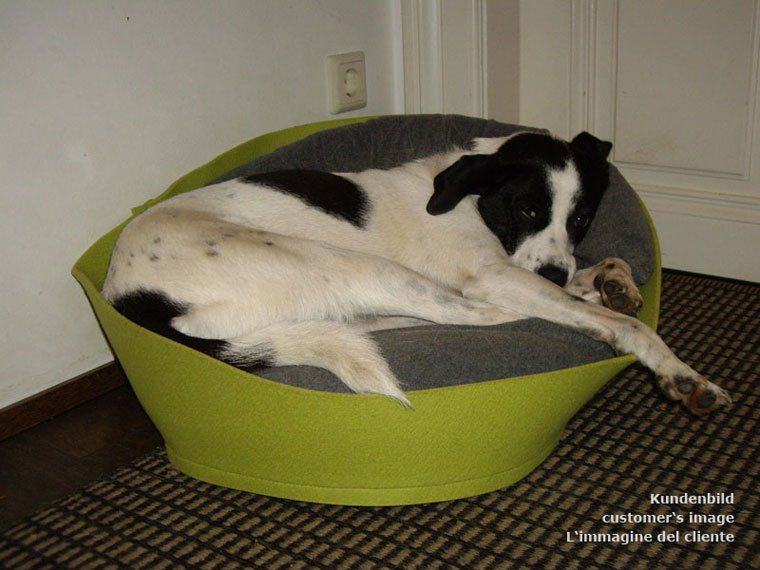 Hardwearing orthopedic dog basket