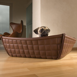 pug in his luxury dog bed