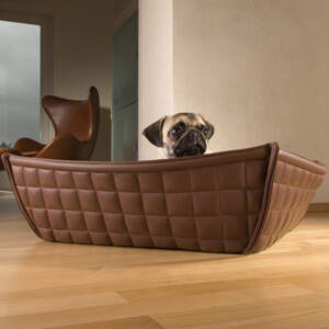 poco pug in letto di lusso pet