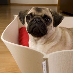 Bowl Felt dog basket