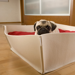 dog basket, felt dog bed Bowl from pet-interiors