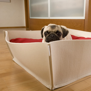 cuccia cane, lettino cane di feltro Bowl da pet-interiors