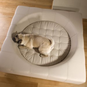 Cube exceptional designer dog bed by pet-interiors