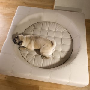 cube außergewöhnliches Designer Hundebett von pet-interiors