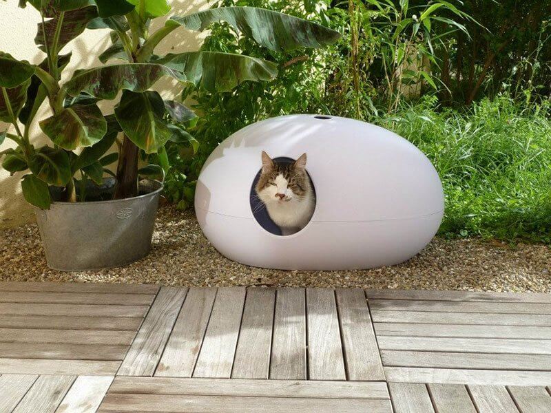 Cat 2025 toilet design