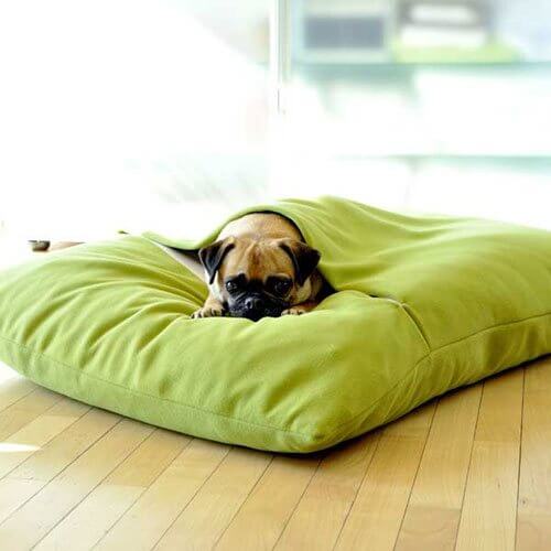 dog bed cushion