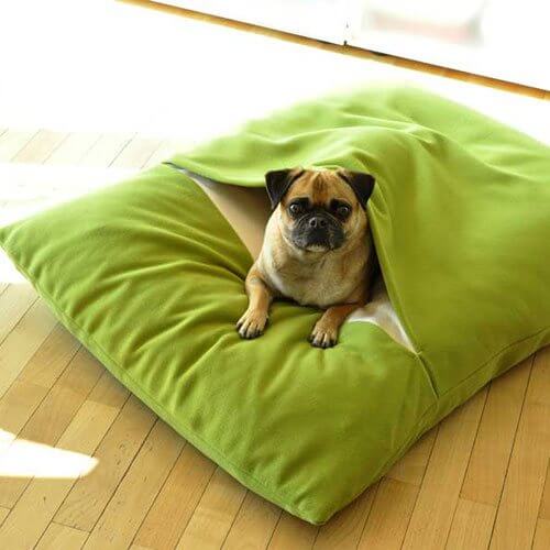 The exclusive dog cushion Divan Due is the new favorite place of my little pug.