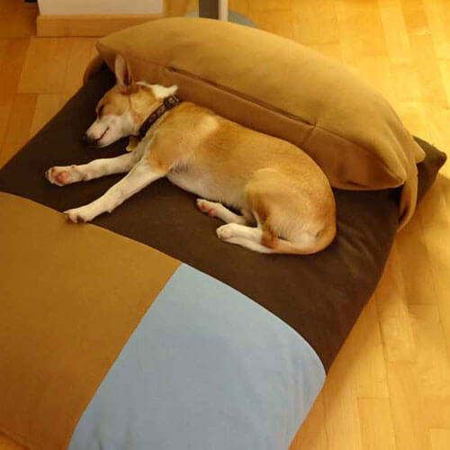 Il cuscino cane Divan Quattro ha le migliori caratteristiche di menzogne ed è perfetto per ogni cane.