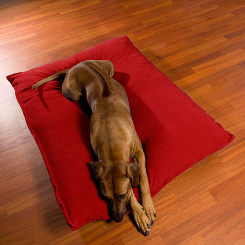 Divan Uno è un cuscino cane di classe in più e molto sano.