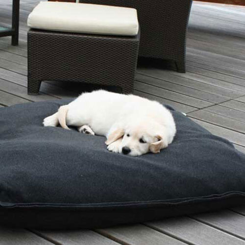 L'alta qualità Divan Uno cuscino cane è perfetto per il mio piccolo cucciolo di Golden Retriever.